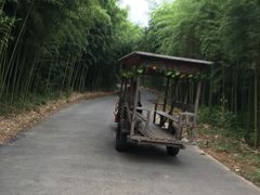 -杭州双溪漂流景区