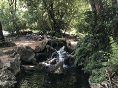 -奥林匹亚宙斯神庙