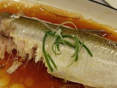 -全聚德(上海首店浦东店)