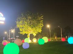 -莫子山公园