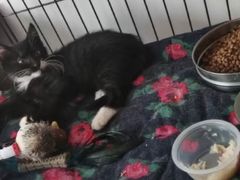 -中国人民解放军总医院