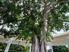 -三亚南山文化旅游区