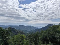 -大岭沟猕猴桃谷风景区