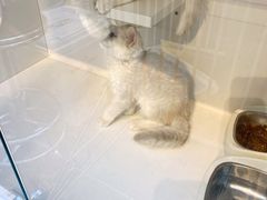 -萌兽医馆·眼科·异宠专科(三里屯店)