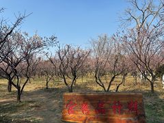 -无锡梅园公园