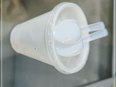 -洪馨椰子