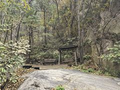 -大岭沟猕猴桃谷风景区
