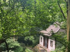-虎跑公园