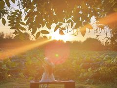 -艾溪湖湿地公园