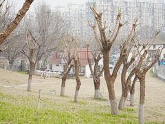 -小意思咖啡店(草桥店)