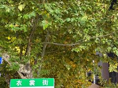 -衣裳街历史文化街区