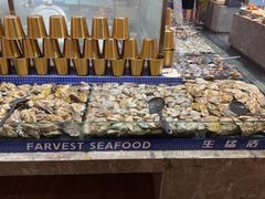 -丰卓会海鲜自助(中润大道店)