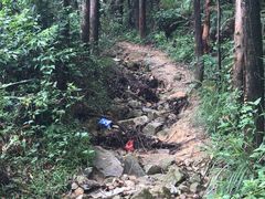 -火炉山森林公园
