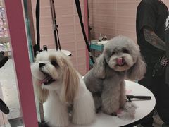 -FAELING PETS美天灵宠物(合生汇店)