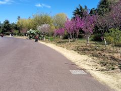 -济南国际园博园