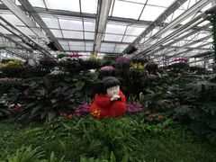 -兰陵国家农业公园