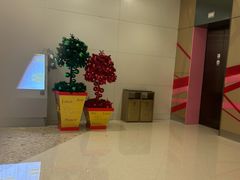 -上海中心大厦
