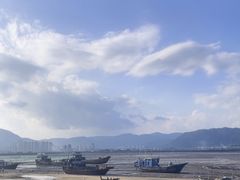 -北岐滩涂