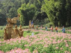 -广州市石门国家森林公园