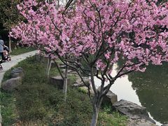 -昆山城市公园