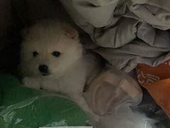 -太原茂业天地购物中心