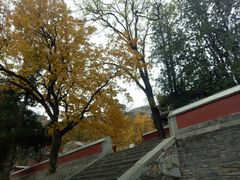 -香山公园-东宫门售票处