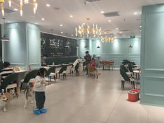 -安格丽娜·狗咖·猫咖羊驼咖(春熙路百盛商场店)