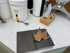 -Onirii Coffee(长乐路店)