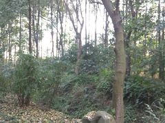 -三圣花乡旅游区