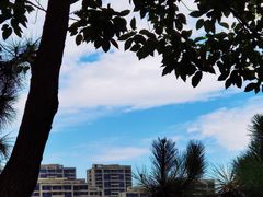 -温州乐园