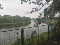 -沙澧河风景区