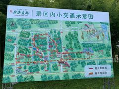 -黄海国家森林公园