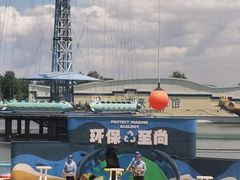 -秦皇岛乐岛海洋王国