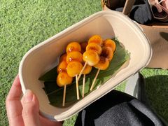 御手洗丸子-季味菓屋