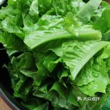 月亮姐姐学做菜之炝炒油麦菜