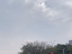 -TESLA 特斯拉(深圳坂田特斯拉中心)