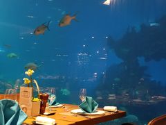 -海棠湾洲际-涛·海底餐厅·美人鱼·自助餐·海底隧道