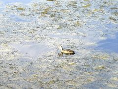 -野鸭湖国家湿地公园