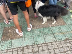 -安吉龙王山峡谷漂流