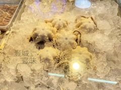 -铭聚章鱼土笋冻(松柏店)