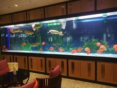 -弘安丽水温泉酒店
