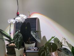 -本無咖啡·BeanWood Coffee