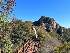 -大岭沟猕猴桃谷风景区