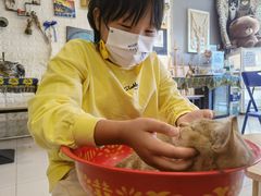 -平行世界·猫咖(首经贸店)