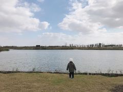 -春花秋色城市公园