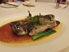 -顺峰(农展馆店)