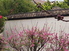 -乌山风景区