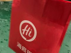 -海底捞火锅(铂澜大象城店)