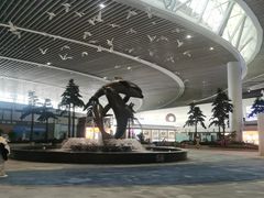 -青岛胶东国际机场