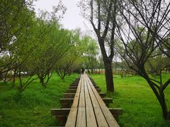 -西溪国家湿地公园